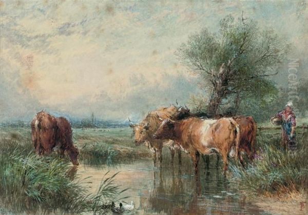Cattle Watering At A Stream - view 1