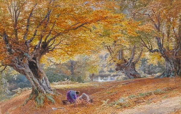 Burnham Beeches - view 1