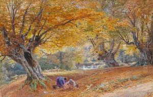 Burnham Beeches