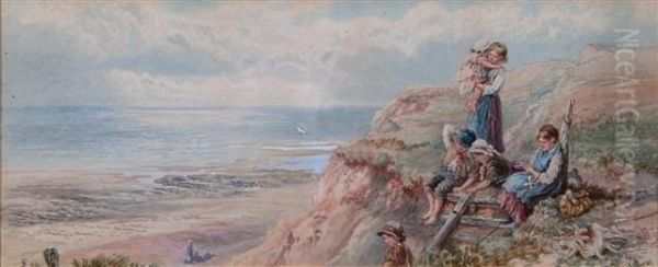 The Top Of The Cliff - view 1