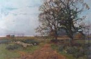 Sheep Grazing By A Country Track Sheep Grazing By A Country Track