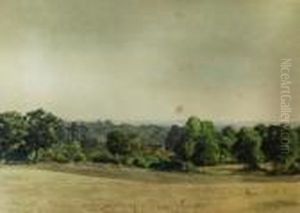 Landscape Landscape