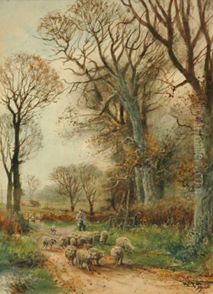 Herding Sheep - view 1