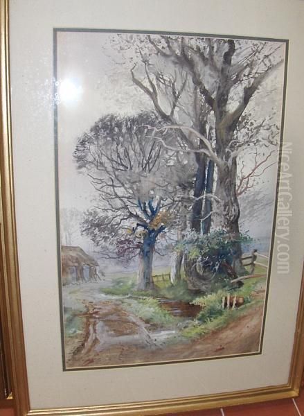 Country Lane With Elm Trees - view 1