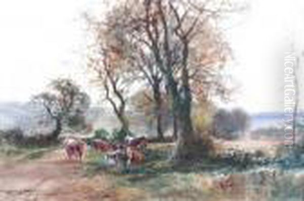 Fox - view 1