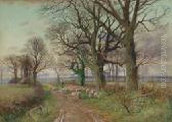 A Shepherd Driving A Flock Of Sheep Along A Country Lane - view 1