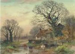 Cattle Crossing A Ford At Fordingbridge, Hampshire