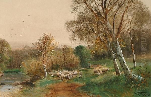 Herding Sheep - view 1