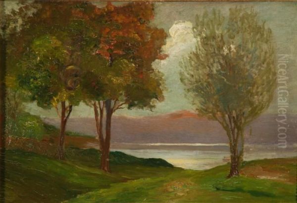 "lago Di Cavazzo" - view 1