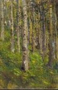 Alberi; Bosco Alberi; Bosco