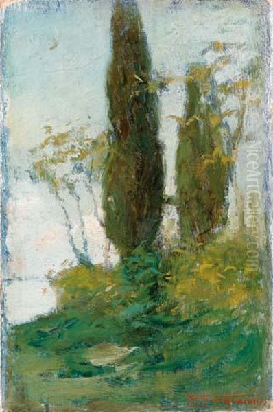 Cipressi - view 1