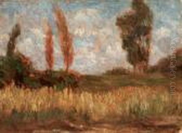 Paesaggio Lungo Il Sile - view 1