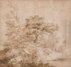 Landscape Study