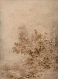 A Wooded Landscape With A Boy Hiding Among Undergrowth