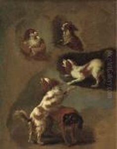 A Study Of Spaniels by Jean-Honore Fragonard