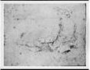 Homme Assis Vu De Dos by Jean-Honore Fragonard