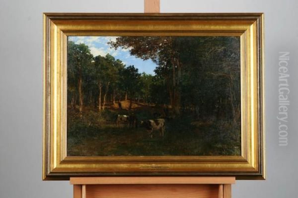 Francais , In The Forest - view 1