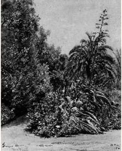 Coin De Jardin by Francois Louis Francais