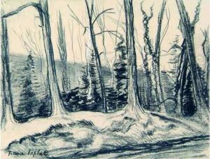 Foret De Meudon.
