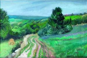 Chemin Dans Les Champs.