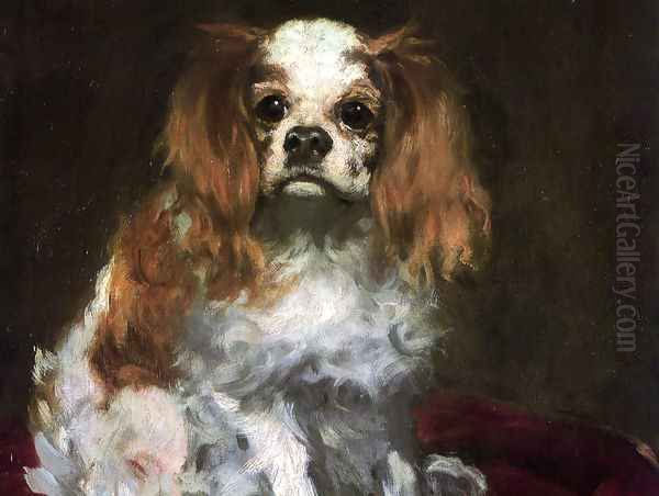 the dog - view 1