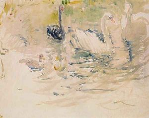 Swans