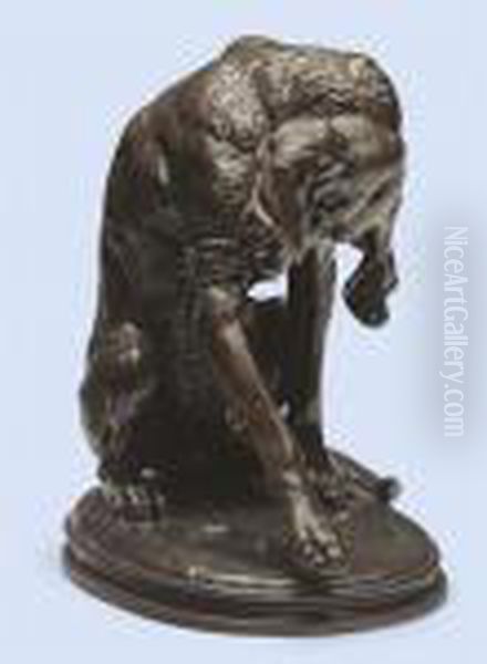 Chien Blesse - view 1
