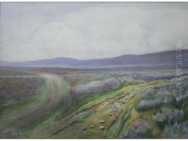 Fallcarragh, Co. Donegal - view 1
