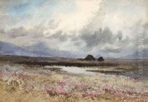 Turf Stacks &amp; Boglands