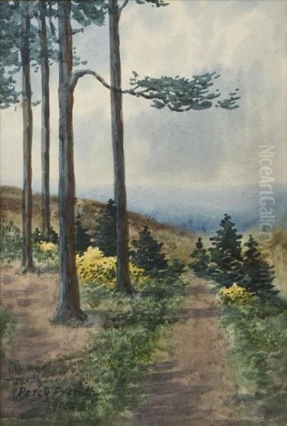 A Path By Tall Trees - view 1