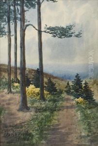 A Path By Tall Trees A Path By Tall Trees