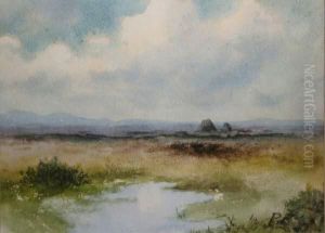 Bogland With Turf Stacks by William Percy French