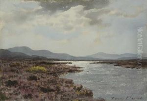 Bright Sky Over Bog Lake