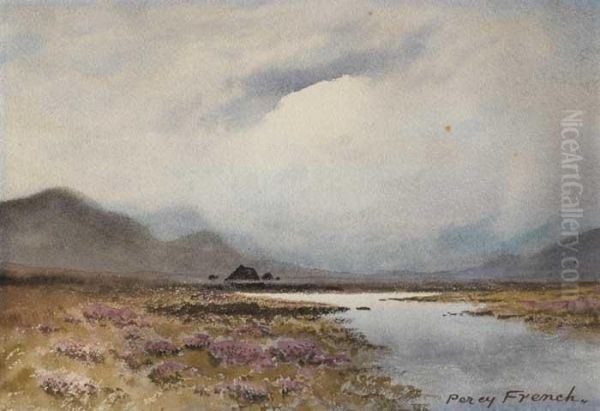 Bog Landscape, West Of Ireland - view 1