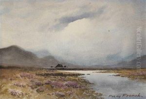 Bog Landscape, West Of Ireland