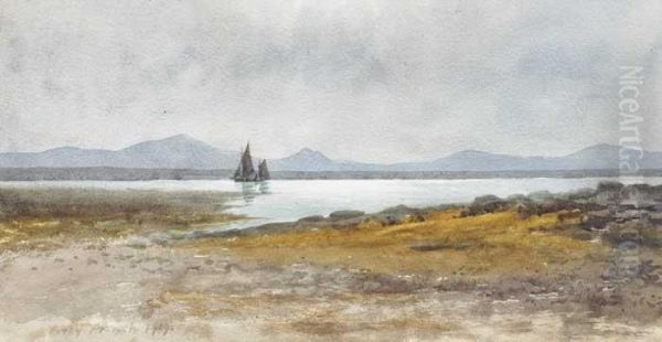 Sailing Boats In A Lough - view 1