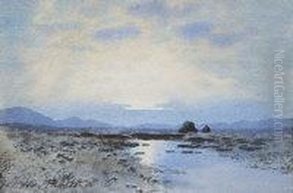 Bogland Landscape At Sundown - view 1