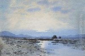 Bogland Landscape At Sundown