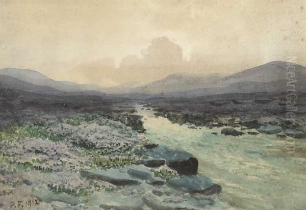 Bogland River - view 1