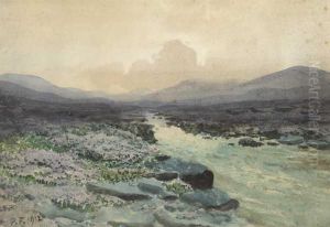 Bogland River by William Percy French