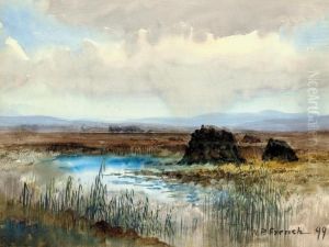 Connemara Bog by William Percy French