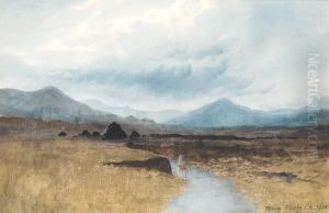 A North Antrim Bog