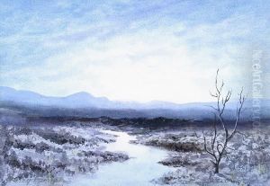 Dusk On The Bog