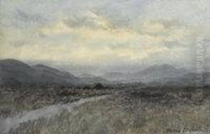 Evening In Donegal by William Percy French