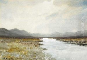 Bogland River