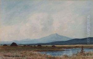 Peat Bogs