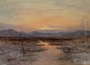 Marshland With Sunset Over Mountains In The Distance by William Percy French