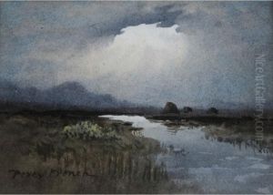A Burst Of Sunlight Over A Bog Landscape by William Percy French