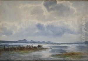 Strangford Lough