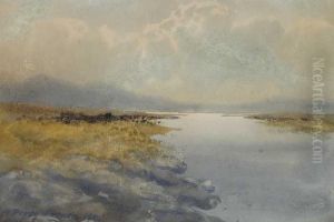 A Bogland River